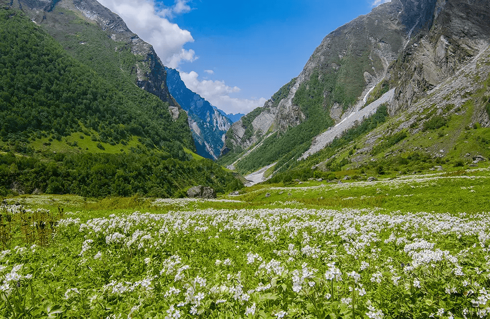Valley of Flowers
